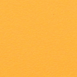  кукуруза LM 0070